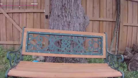 Ella Bella Bo Bella online show from 13, 9, 2025