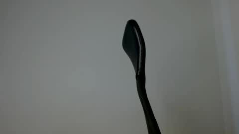 Snapshot of elosocazador chatting on 10, 10, 2025 elosocazador online show from 10, 10, 2025