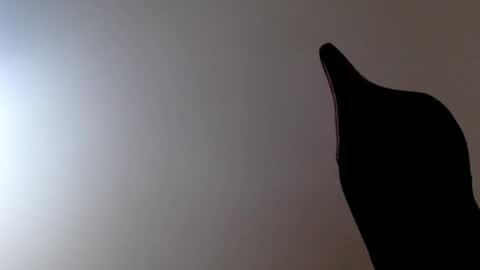 Snapshot of elosocazador chatting on 19, 12, 2025 elosocazador online show from 19, 12, 2025