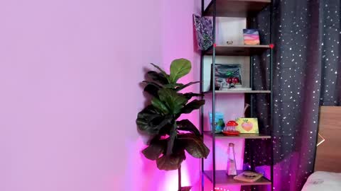 .  . online show from 13, 12, 2024