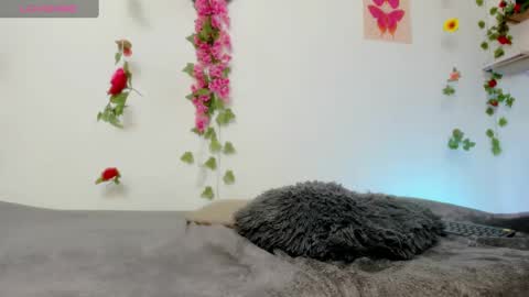 Emily  online show from 6, 2, 2025