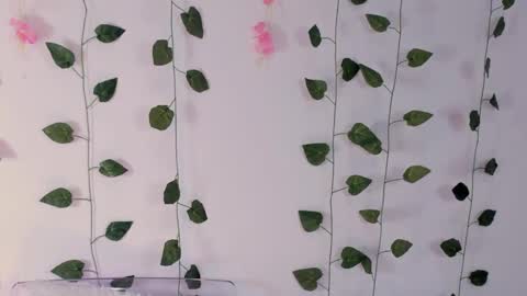 Emily online show from 2, 2, 2025