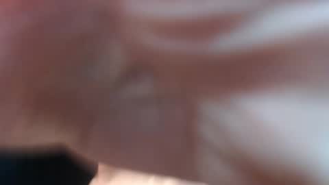 emilyfork online show from 31, 3, 2026