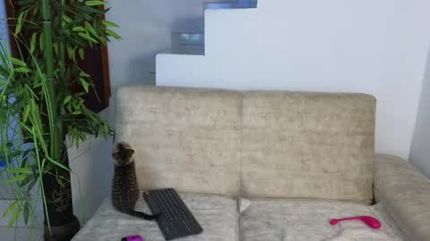 Emma Blue  modelo independiente online show from 20, 10, 2025