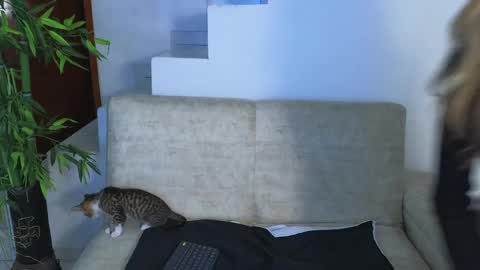 Emma Blue  modelo independiente online show from 28, 10, 2025