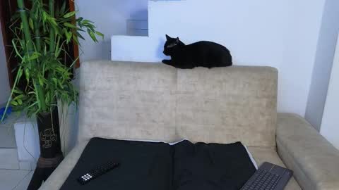 Emma Blue  modelo independiente online show from 26, 3, 2026