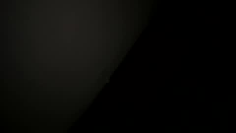 whises lits        online show from 16, 12, 2025