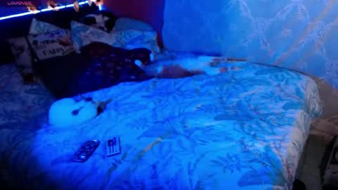 Snapshot of emma_ruiiz_ chatting on 16, 5, 2026 emma online show from 16, 5, 2026