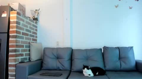 Emma Brant online show from 18, 2, 2026