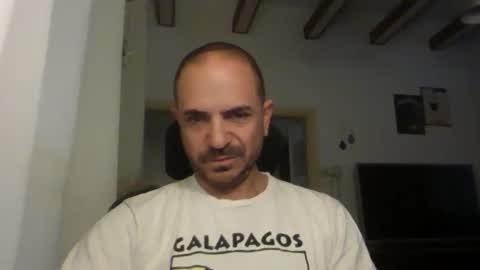 Ariel online show from 3, 10, 2025