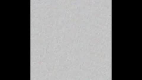 englisharabcock online show from 14, 9, 2025