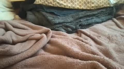 epicstrokesz online show from 12, 1, 2026