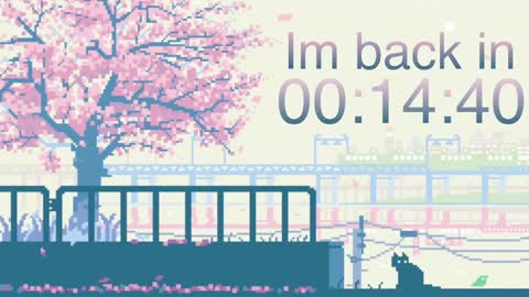 Erica online show from 13, 12, 2024