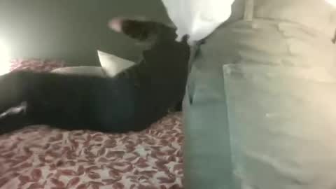 Snapshot of ericstephcam31 chatting on 28, 2, 2025 Steph et Eric online show from 28, 2, 2025