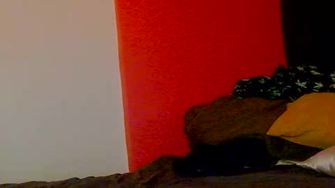 Snapshot of erotica_angel chatting on 20, 2, 2026 Nikki Erotica online show from 20, 2, 2026