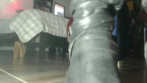 Eskela911 online show from 6, 10, 2025