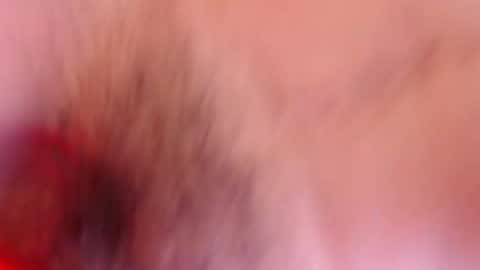 estelamaris online show from 19, 1, 2025