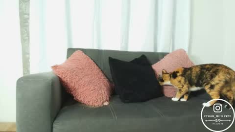 Ethan Muller online show from 15, 4, 2026