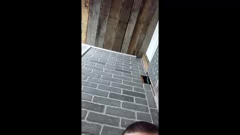 ethanfish600 online show from 3, 3, 2026