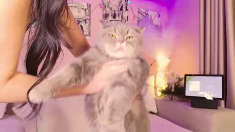 Eva 3 online show from 16, 12, 2025