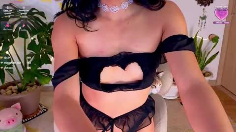 Im Eve or Chelle Next Stream 191224  online show from 8, 3, 2025