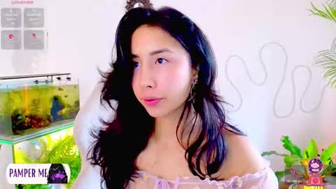 Im Eve or Chelle Next Stream 191224  online show from 18, 2, 2026