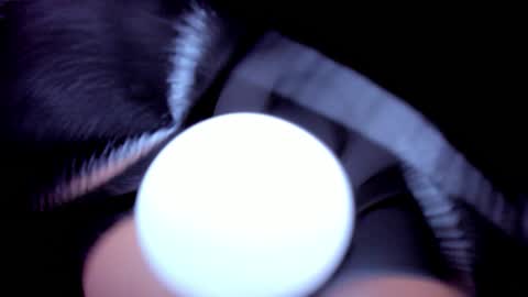 Snapshot of evelyn_coelloo chatting on 25, 2, 2026 Eve online show from 25, 2, 2026