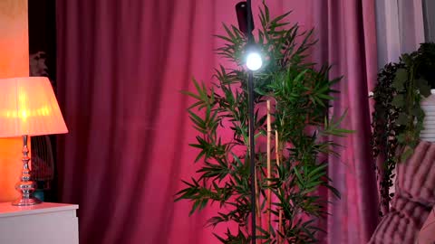 Evelyn online show from 5, 2, 2025