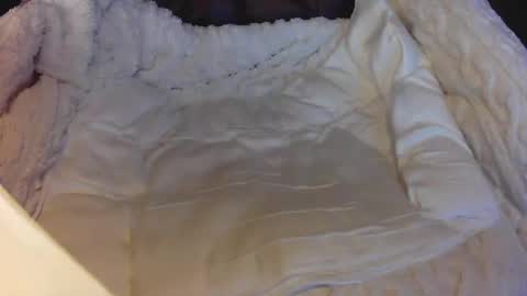 Snapshot of everlasthu chatting on 7, 12, 2024 everlasthu online show from 7, 12, 2024