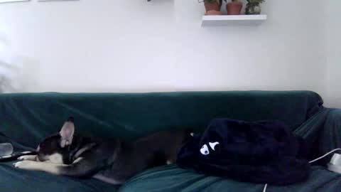 Badblondebunny online show from 27, 10, 2025