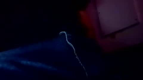 Evocation online show from 3, 2, 2025