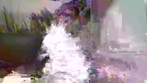 Naaktloper online show from 9, 2, 2026