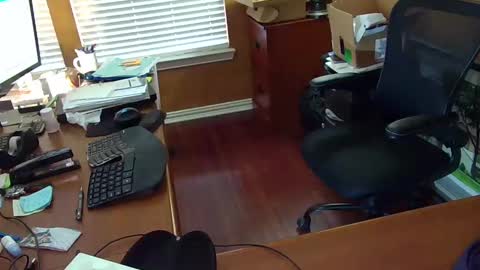 exhibitman69_ldb online show from 14, 2, 2025