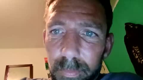 experttreecompany online show from 23, 3, 2026