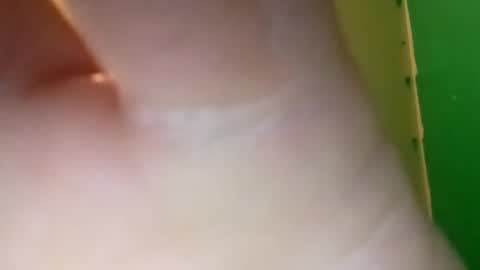 experttreecompany online show from 10, 4, 2026