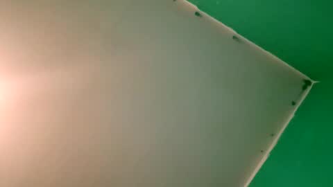 experttreecompany online show from 12, 4, 2026