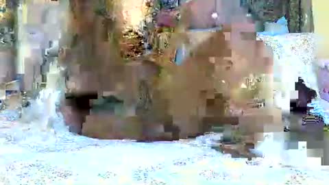 explicitly_certified online show from 3, 3, 2025