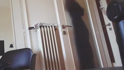 EZCODA online show from 7, 1, 2025