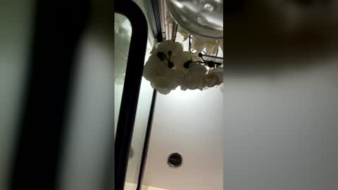 Snapshot of fabiolacal11 chatting on 28, 2, 2026 fabiolacal11 online show from 28, 2, 2026