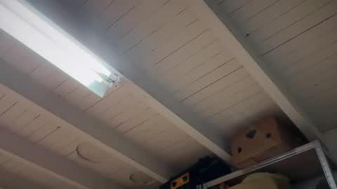 fabius1995 online show from 22, 3, 2026