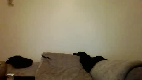 the masturbator online show from 7, 3, 2025