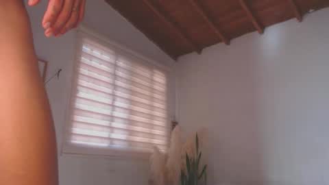 -  A N D E R online show from 11, 1, 2025