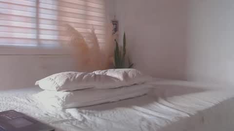 -  A N D E R online show from 20, 1, 2025