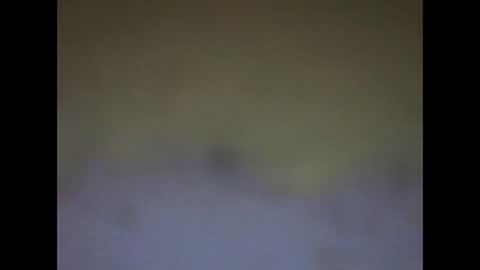 fafafa923 online show from 12, 1, 2025