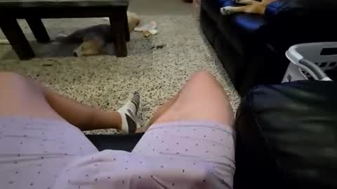 faker1414 online show from 2, 2, 2026