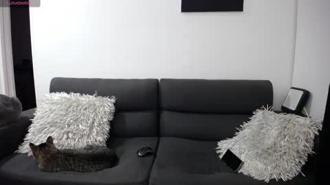 FallGays online show from 22, 2, 2025