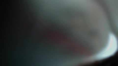 FallGays online show from 9, 11, 2025