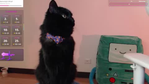  Fantasma.  online show from 25, 10, 2025