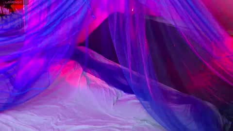 Fairy online show from 14, 11, 2025