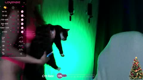 Snapshot of fantasymaria chatting on 20, 12, 2024 my name is Masha online show from 20, 12, 2024